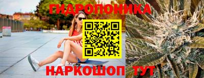 сатива Гатчина